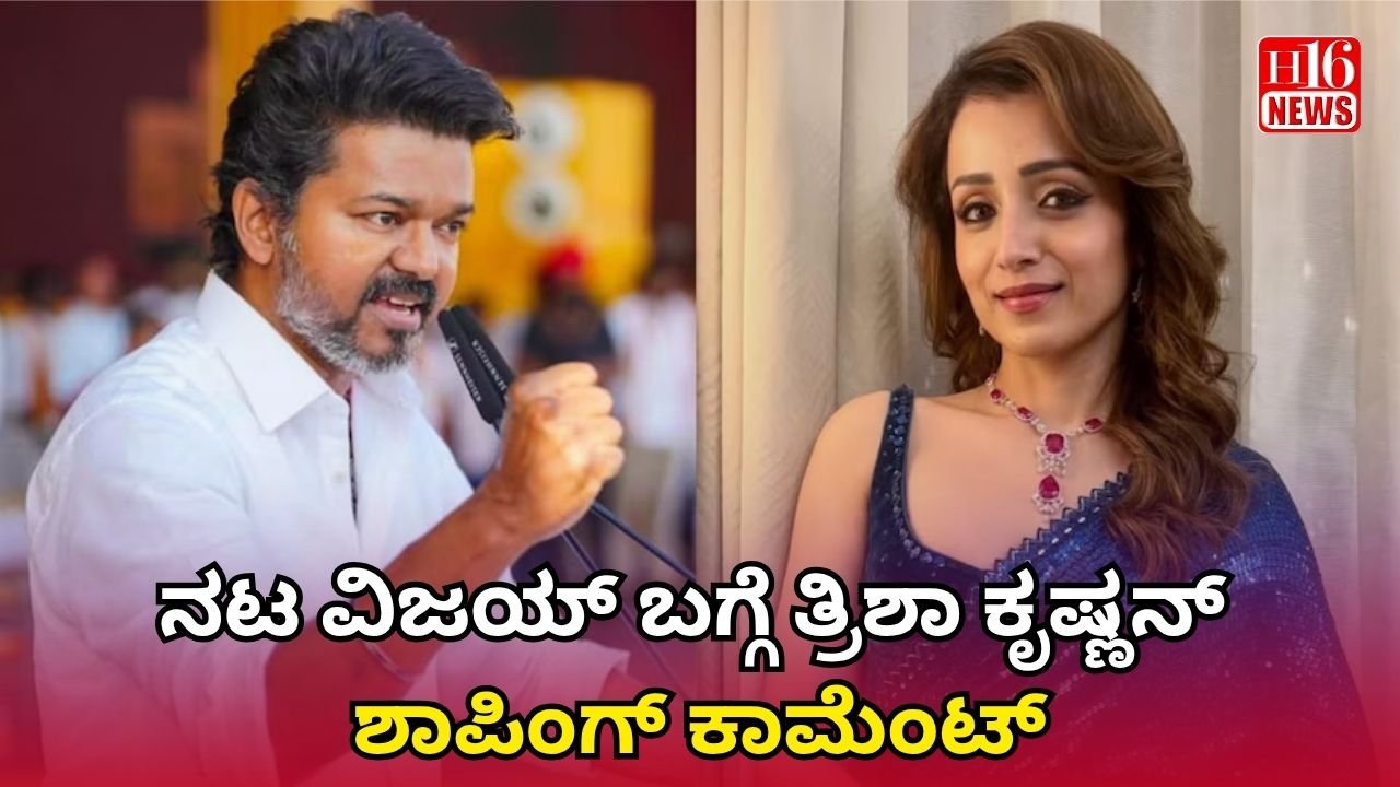 ನಟ ವಿಜಯ್ ಬಗ್ಗೆ ತ್ರಿಶಾ ಕೃಷ್ಣನ್ ಶಾಪಿಂಗ್ ಕಾಮೆಂಟ್