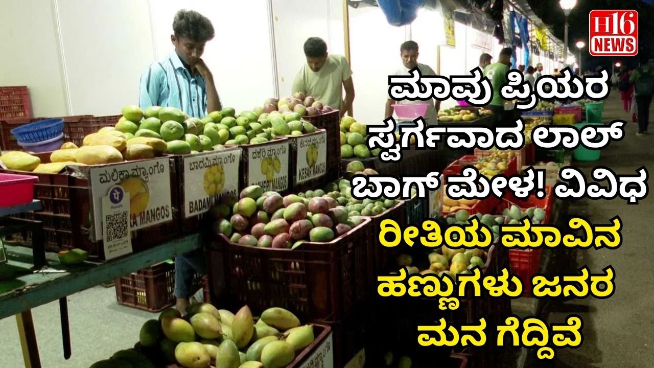 ಮಾವು ಪ್ರಿಯರ ಸ್ವರ್ಗವಾದ ಲಾಲ್ ಬಾಗ್ ಮೇಳ! ವಿವಿಧ ರೀತಿಯ ಮಾವಿನ ಹಣ್ಣುಗಳು ಜನರ ಮನ ಗೆದ್ದಿವೆ